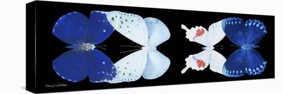 Miss Butterfly X-Ray Duo Black Pano-Philippe Hugonnard-Stretched Canvas