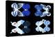 Miss Butterfly X-Ray Duo Black V-Philippe Hugonnard-Premier Image Canvas