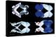 Miss Butterfly X-Ray Duo Black-Philippe Hugonnard-Stretched Canvas