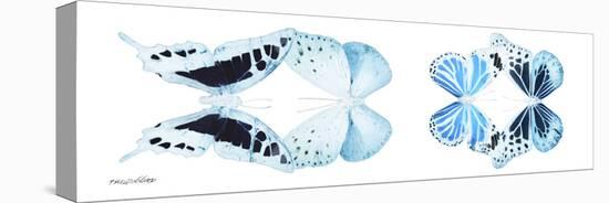 Miss Butterfly X-Ray Duo White Pano II-Philippe Hugonnard-Stretched Canvas