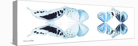 Miss Butterfly X-Ray Duo White Pano IX-Philippe Hugonnard-Stretched Canvas