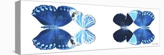 Miss Butterfly X-Ray Duo White Pano VII-Philippe Hugonnard-Stretched Canvas