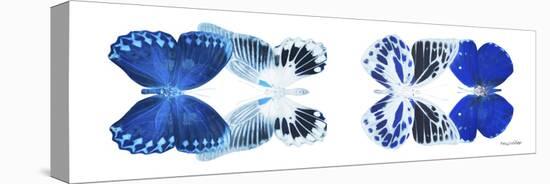 Miss Butterfly X-Ray Duo White Pano X-Philippe Hugonnard-Stretched Canvas