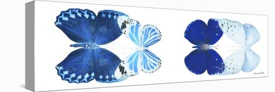 Miss Butterfly X-Ray Duo White Pano XI-Philippe Hugonnard-Stretched Canvas