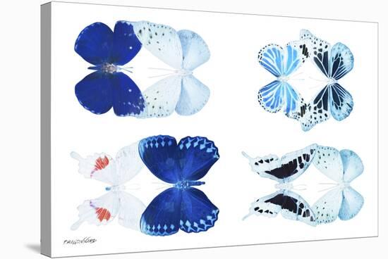 Miss Butterfly X-Ray Duo White V-Philippe Hugonnard-Stretched Canvas