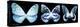 Miss Butterfly X-Ray Panoramic Black III-Philippe Hugonnard-Premier Image Canvas
