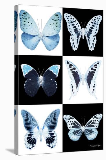 Miss Butterfly X-Ray-Philippe Hugonnard-Stretched Canvas