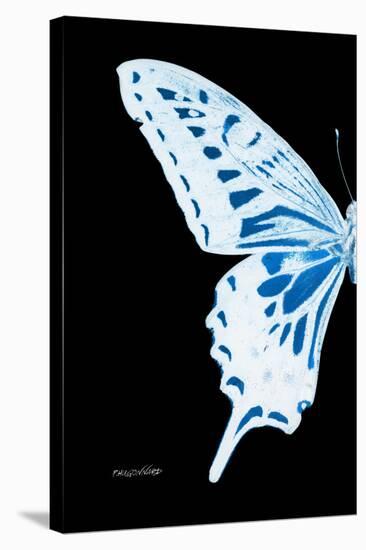 Miss Butterfly Xuthus - X Ray Left Black Edition-Philippe Hugonnard-Stretched Canvas