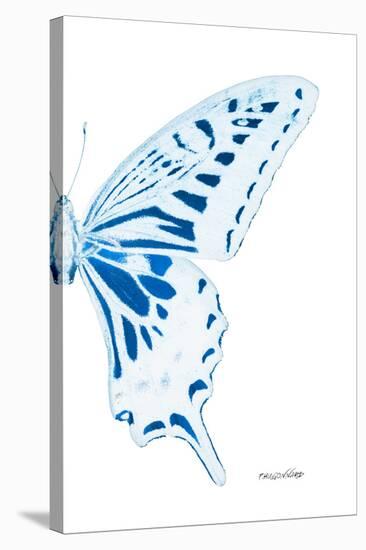 Miss Butterfly Xuthus - X Ray Right White Edition-Philippe Hugonnard-Premier Image Canvas