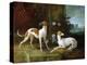 Misse and Turlu, Two Greyhounds of Louis XV-Jean-Baptiste Oudry-Premier Image Canvas