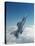 Missile-Armed Us F-16 Fighter Aircraft in Flight, Climbing Above Clouds-null-Premier Image Canvas