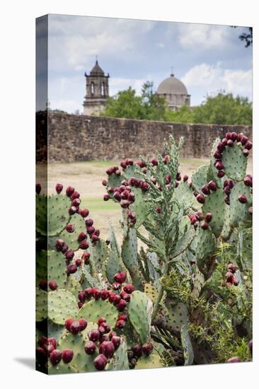 Mission San Jose-Larry Ditto-Premier Image Canvas