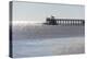 Mississippi, Bay St Louis. Shorebirds and Pier Seen from Marina-Trish Drury-Premier Image Canvas