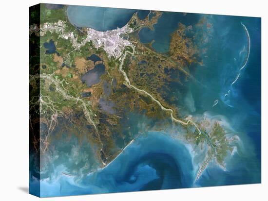 Mississippi Delta, Satellite Image-PLANETOBSERVER-Premier Image Canvas