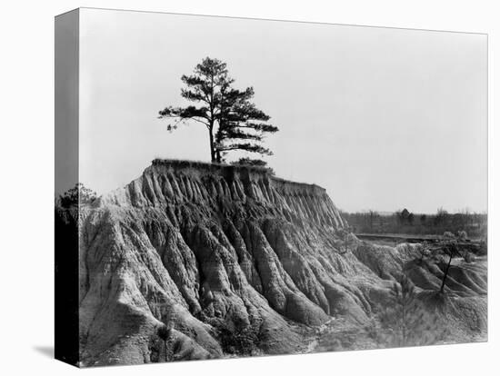 Mississippi: Erosion, 1936-Walker Evans-Premier Image Canvas
