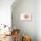 Mississippi - Scallop Shell - Coral - Coastal Icon-Lantern Press-Stretched Canvas displayed on a wall