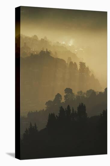 Mist and low sunlight over Dunedin Botanic Garden and Leith Valley, Dunedin, Otago-David Wall-Premier Image Canvas