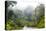 Mist and River Through Tropical Rainforest, Sabah, Borneo, Malaysia-Peter Adams-Premier Image Canvas