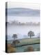 Mist Covered Countryside in the Exe Valley Just North of Exeter, Devon, England. Winter-Adam Burton-Premier Image Canvas