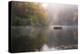 Mist on the Lake-Danny Head-Premier Image Canvas