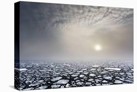 Mist on the Pack Ice, in the High Arctic Ocean, North of Spitsbergen, Svalbard Islands, Norway-ClickAlps-Premier Image Canvas