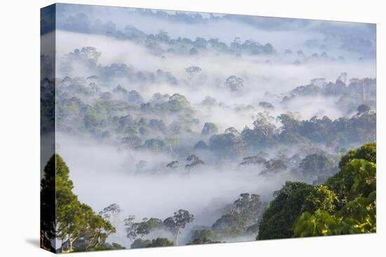 Mist, over Tropical Rainforest, Early Morning, Sabah, Borneo, Malaysia-Peter Adams-Premier Image Canvas