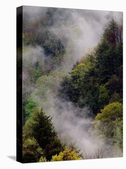 Mist Rising After Spring Rain in the Great Smoky Mountains National Park, Tennessee, USA-Adam Jones-Premier Image Canvas