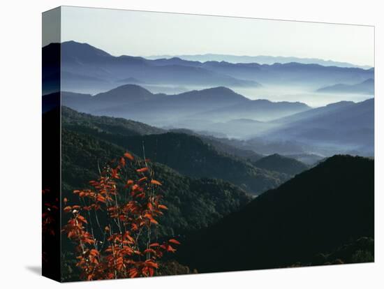 Mist Rising from the Cataloochee Ski Area, Near Maggie Valley, North Carolina, USA-Julian Pottage-Premier Image Canvas