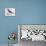 Mistle Thrush (Turdus Viscivorus), Turdidae-null-Premier Image Canvas displayed on a wall