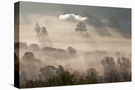 Misty Autumn Morning, Uley, Gloucestershire, England, UK-Peter Adams-Premier Image Canvas