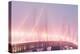 Misty Bridge Lights - San Francisco Bay Fog-Vincent James-Premier Image Canvas