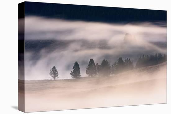 Misty Dawn over Hayden Valley, Yellowstone National Park, Wyoming, United States of America-Gary Cook-Premier Image Canvas