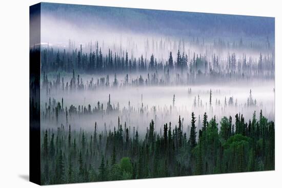 Misty Forest Near Mount Brooks-null-Premier Image Canvas