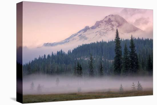 Misty Morning at Mount Hood Meadow-Vincent James-Premier Image Canvas