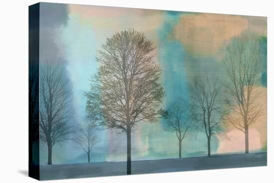 Misty Morning II-Chris Donovan-Stretched Canvas