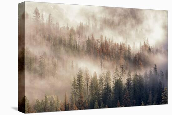 Misty Morning. Seen from Tunnel View. Yosemite National Park, California.-Tom Norring-Premier Image Canvas