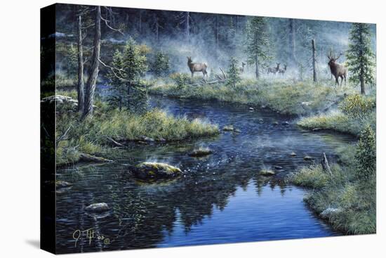 Misty Morning-Jeff Tift-Premier Image Canvas