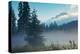 Misty Mount Hood Meadow in Spring, Oregon Wilderness-Vincent James-Premier Image Canvas