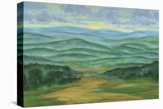 Misty Mountain View I-Julie Joy-Stretched Canvas