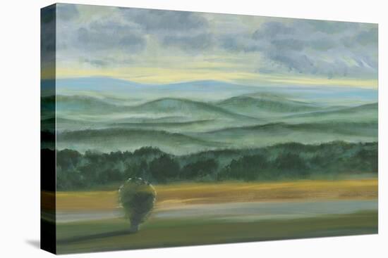 Misty Mountain View II-Julie Joy-Stretched Canvas