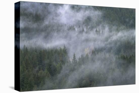 Misty Mountains North Cascades-Alan Majchrowicz-Premier Image Canvas
