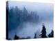 Misty Mountains XV-null-Premier Image Canvas