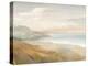 Misty on the Headlands-Danhui Nai-Stretched Canvas