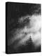 Misty Pine Woods-Design Fabrikken-Premier Image Canvas