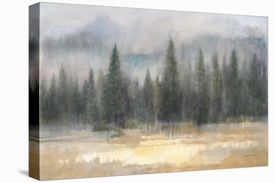 Misty Pines-Danhui Nai-Stretched Canvas