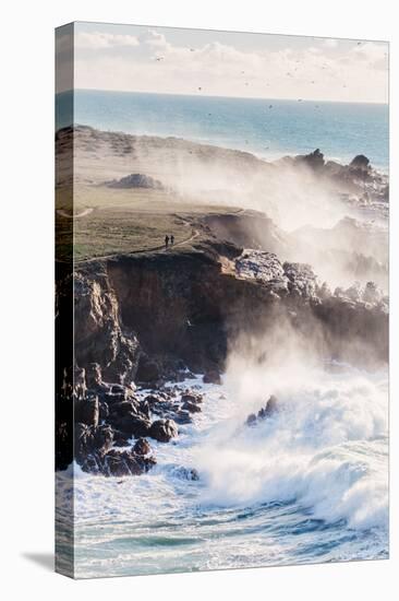 Misty Trail and Mighty Waves Sonoma Coast, California State Parks-Vincent James-Premier Image Canvas