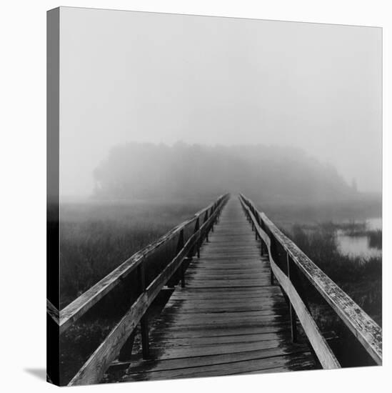 Misty Walk, Cape Cod-Reid Yalom-Stretched Canvas