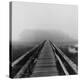 Misty Walk, Cape Cod-Reid Yalom-Stretched Canvas
