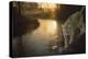 Misty Water Morn-Gordon Semmens-Premier Image Canvas