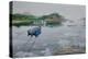 Misty Waters-Bruce Dumas-Premier Image Canvas